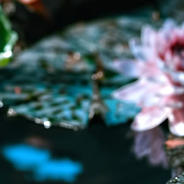 chat with ai character: Changing Account