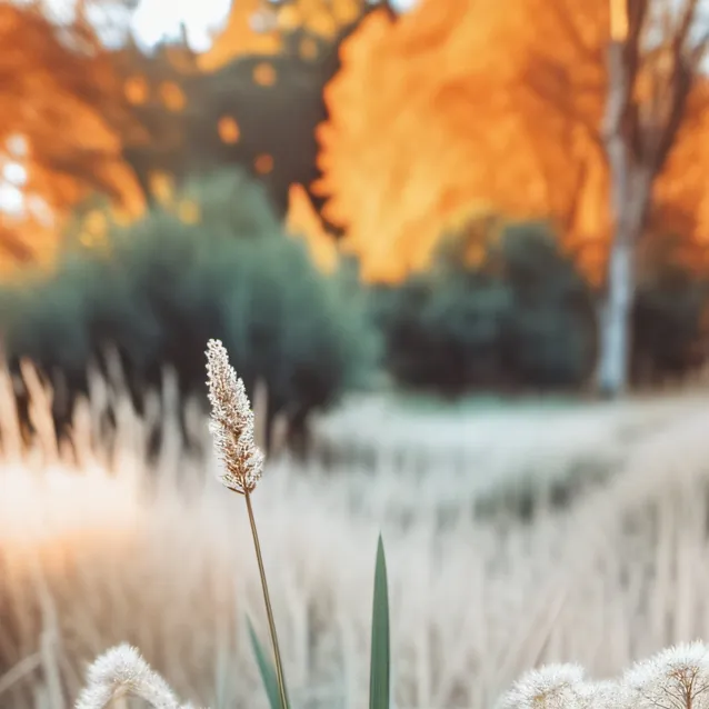 chat with ai character: touch some grass