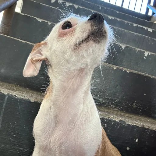 creator Mickyyyyyyy's avatar