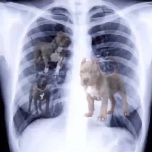 creator Talkior-3J0hKd4o's avatar