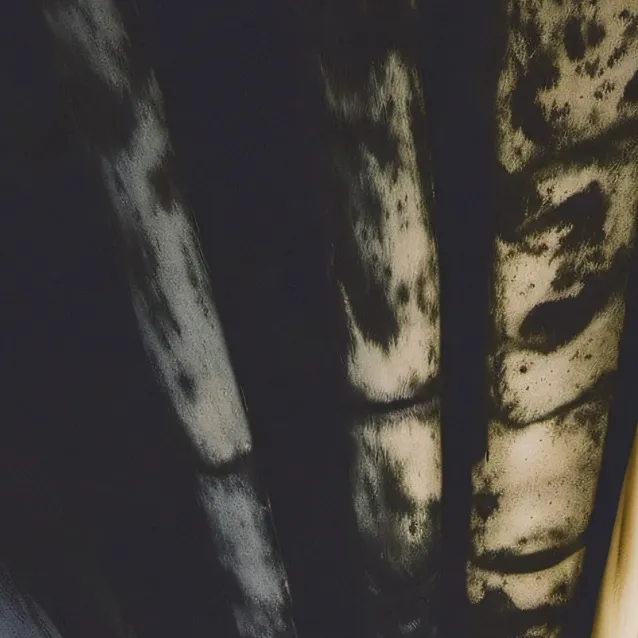 chat with ai character: interstate project