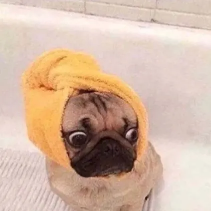 creator Araya's fame train's avatar