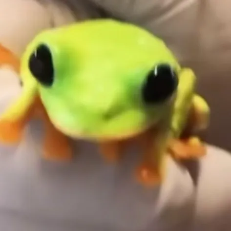 creator Muffin_Eater's avatar