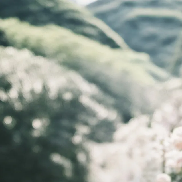 chat with ai character: Ava