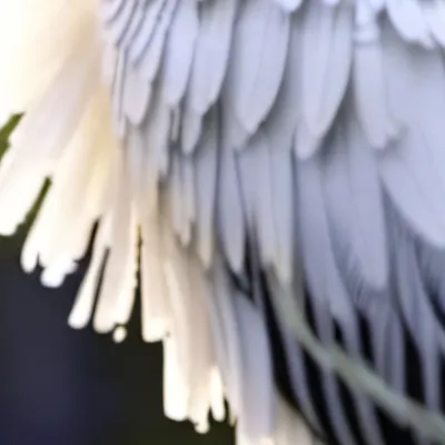 chat with ai character: Dove soap