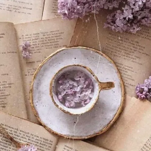 creator Sakuramuchmunch's avatar