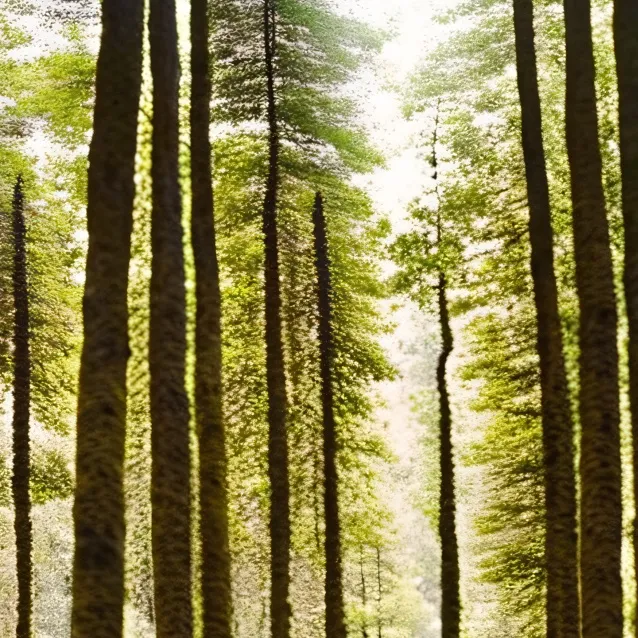 chat with ai character: Love yourself