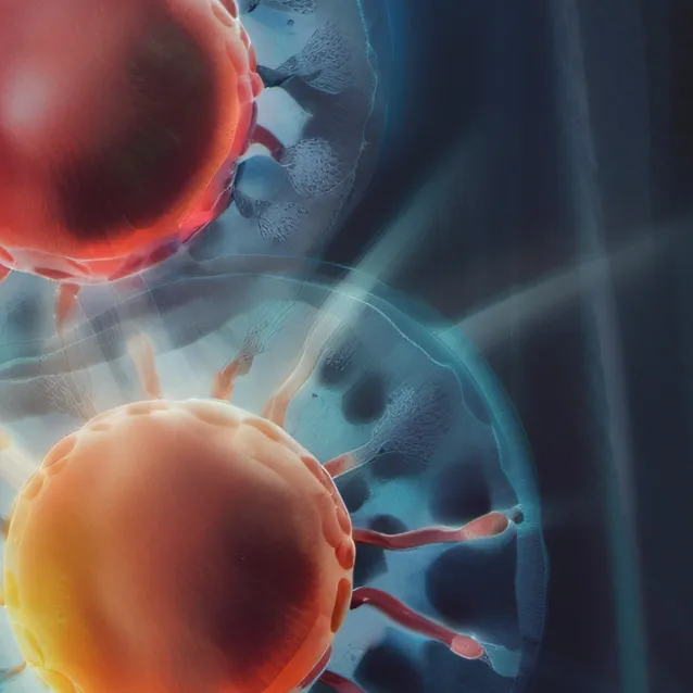 chat with ai character: Mitosis