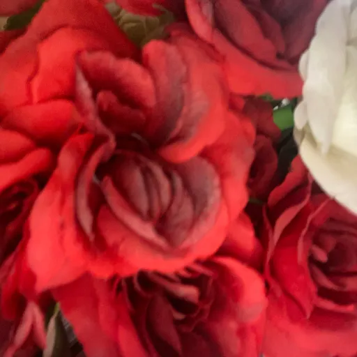 creator Ava the nature god's avatar