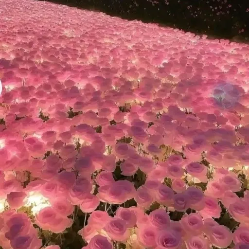 creator Lola_love's avatar