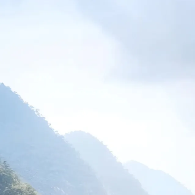 chat with ai character: °MHA+Y/N°