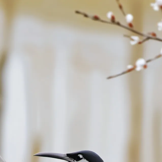 chat with ai character: genshin GC