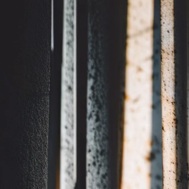 chat with ai character: brahman