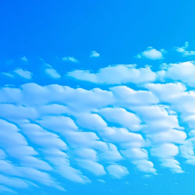 chat with ai character: river