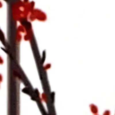 chat with ai character: Alastorsick*again*