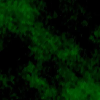 chat with ai character: Spacey