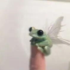 creator KTalkie's avatar