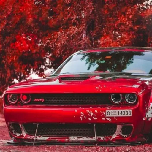 creator ~🖤~💜Sophia~💜~🖤's avatar