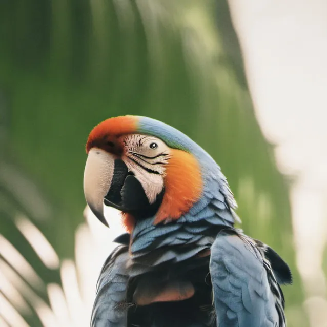 chat with ai character: polly