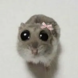 creator Shoko_34's avatar