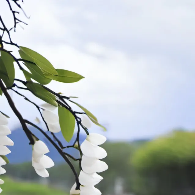 chat with ai character: indo 