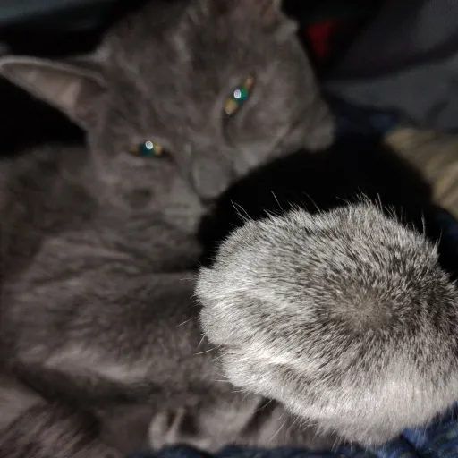 creator Kullervo's avatar