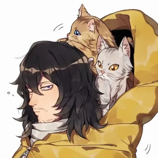 creator myheroacademiafan's avatar