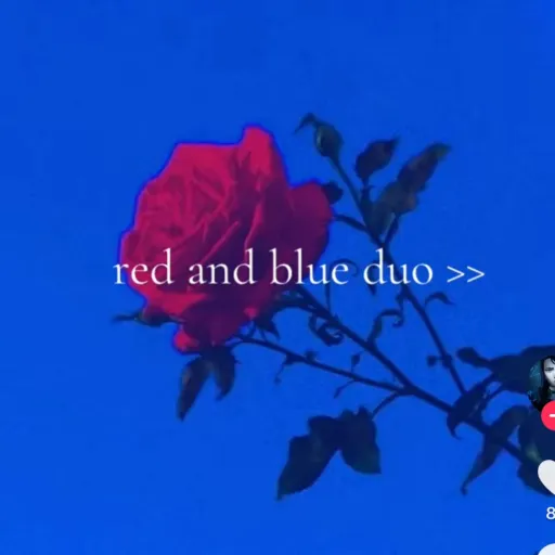 creator yourfavros3y🥀☄️'s avatar