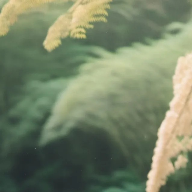 chat with ai character: Flora