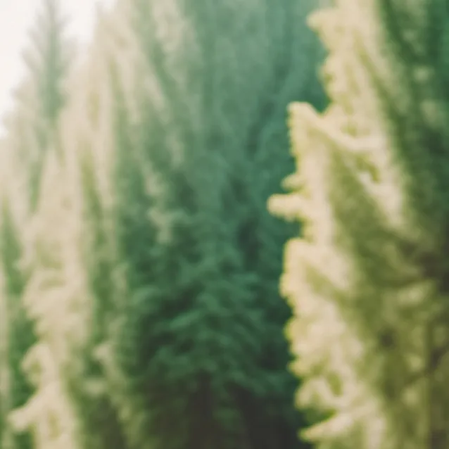 chat with ai character: Average Tesla owna