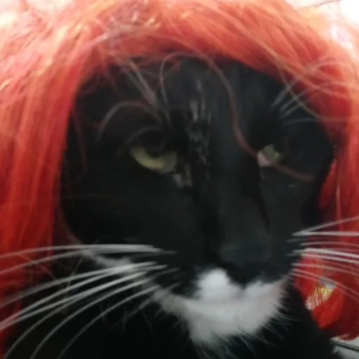 creator 𝕤𝕦𝕙𝕗,𝕤𝕩𝕕𝕔𝕧𝕤𝕫𝕤𝕔𝕓𝕚𝕙𝕓's avatar