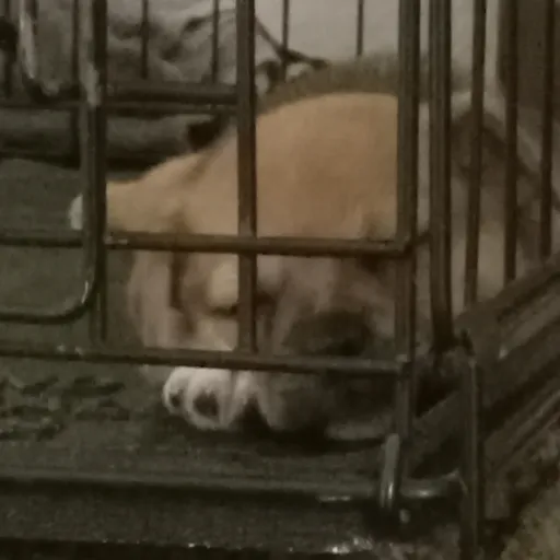 creator gddytegs9tegd's avatar