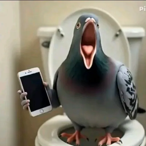 creator SennisTexPigeonPex's avatar