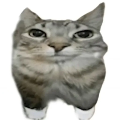 creator ThatClassClown's avatar