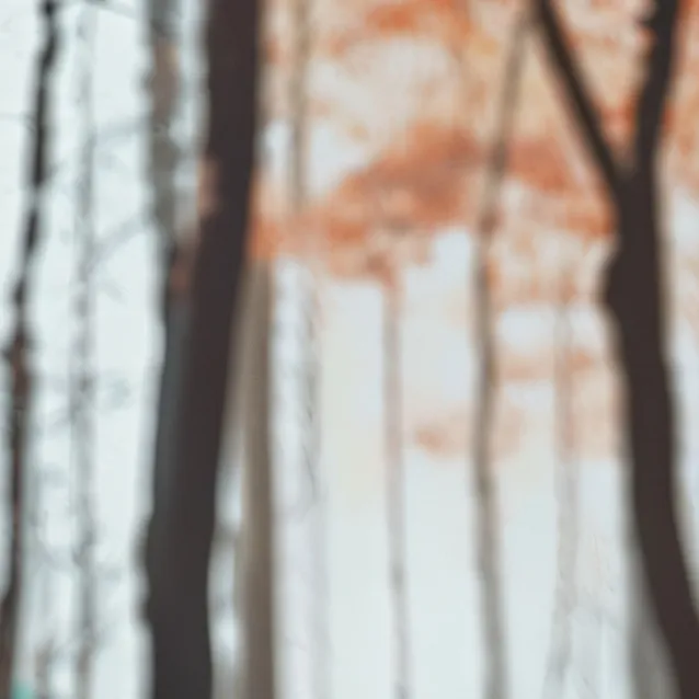 chat with ai character: grass