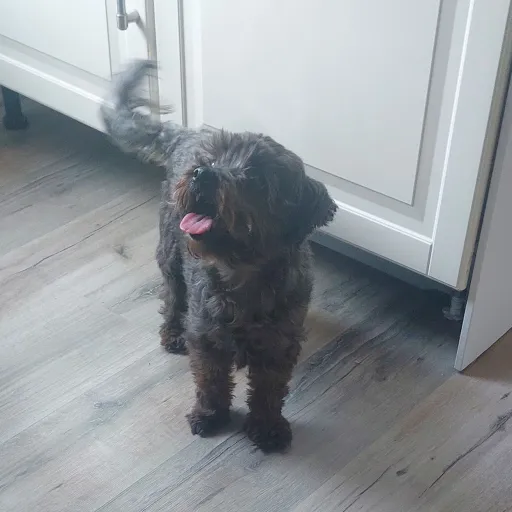 creator Lilith Santiago's avatar