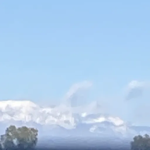 creator Katsuki bakugo 💥's avatar