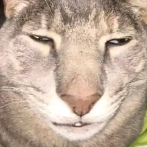 creator Herobrine 144's avatar