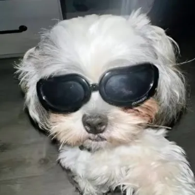 creator Miso-misa's avatar