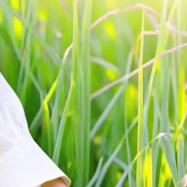 chat with ai character: touch grass