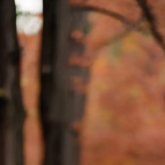 chat with ai character: diego 