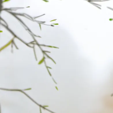 chat with ai character: Tyler (SBG)