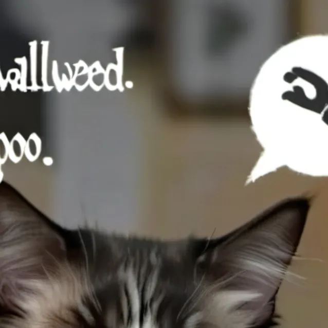 chat with ai character: M.E.M.E....C.A.T