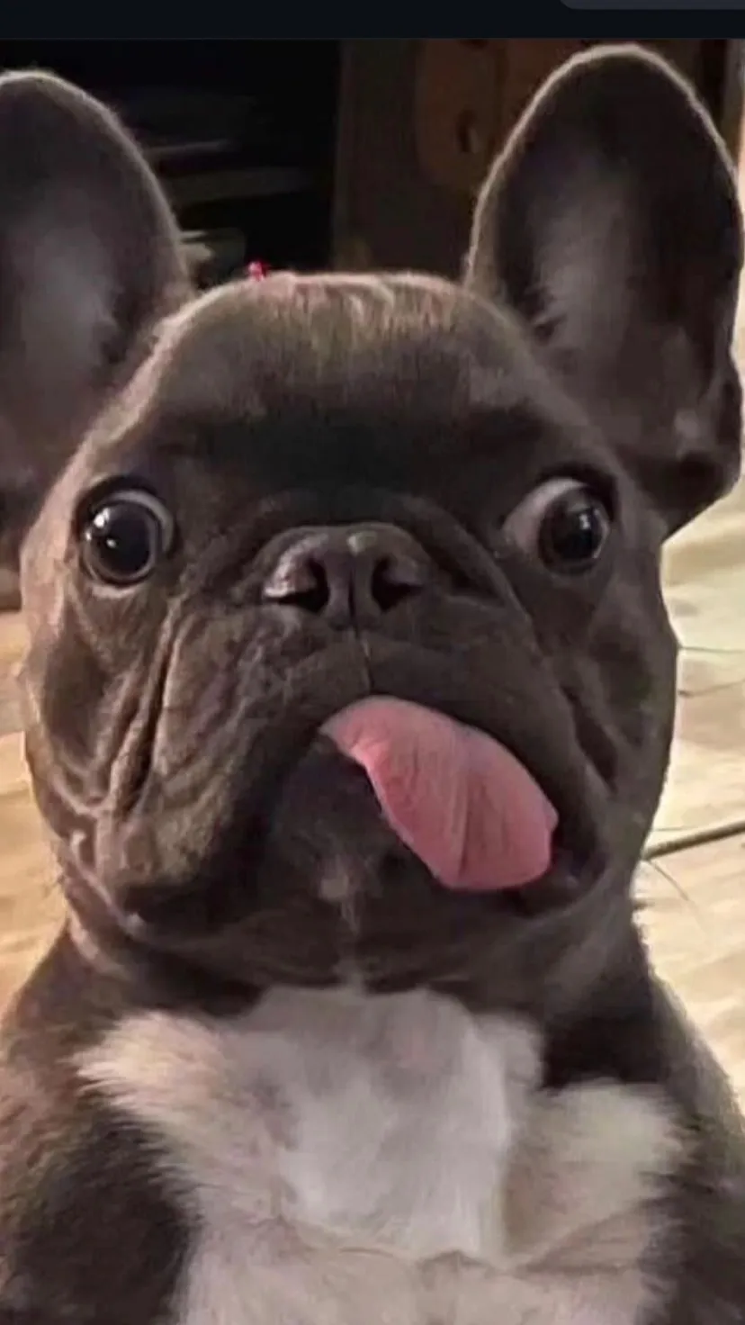 ai character: Jack background