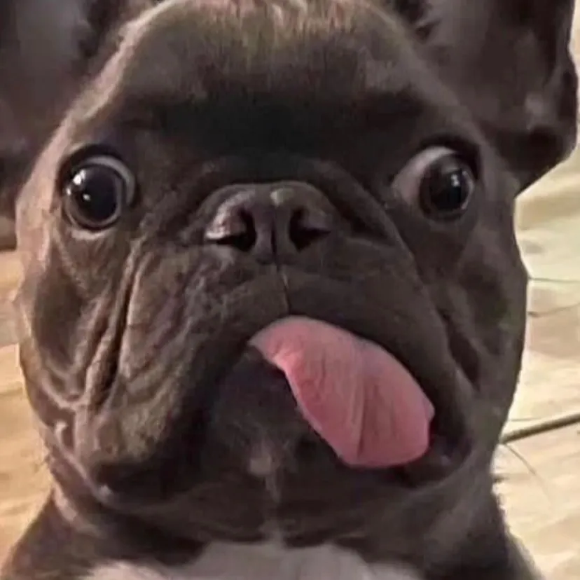 chat with ai character: Jack