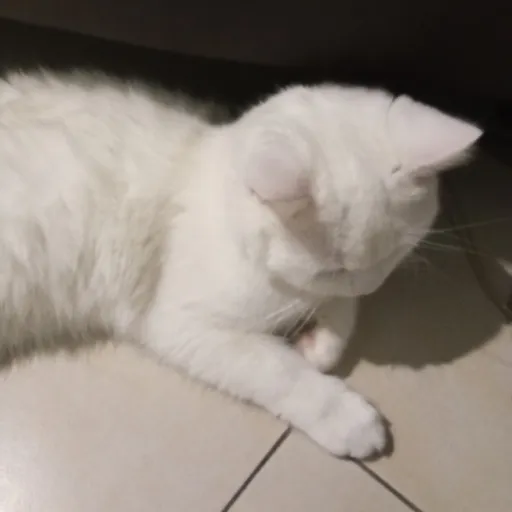 creator ★!ELA!★'s avatar