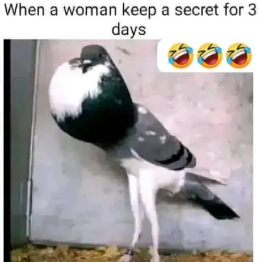 creator luyando's avatar