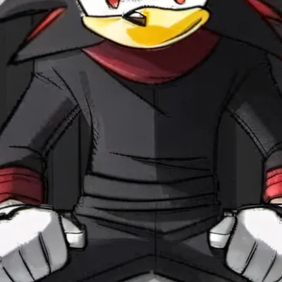 chat with ai character: Sonic and shadow