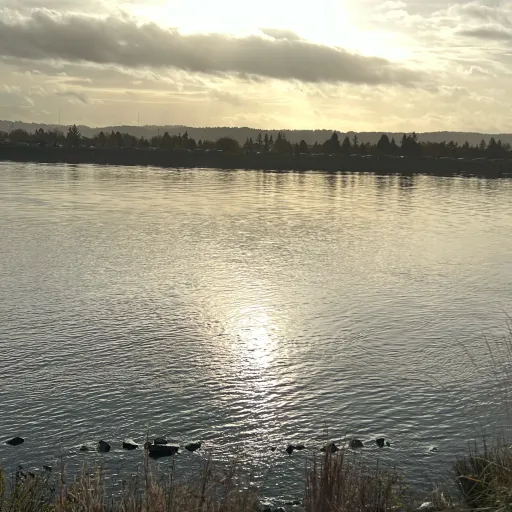 creator ………••••••'s avatar