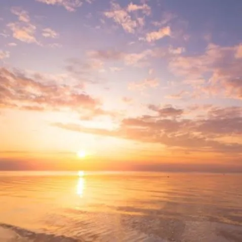 creator Talkiemakerandchat's avatar